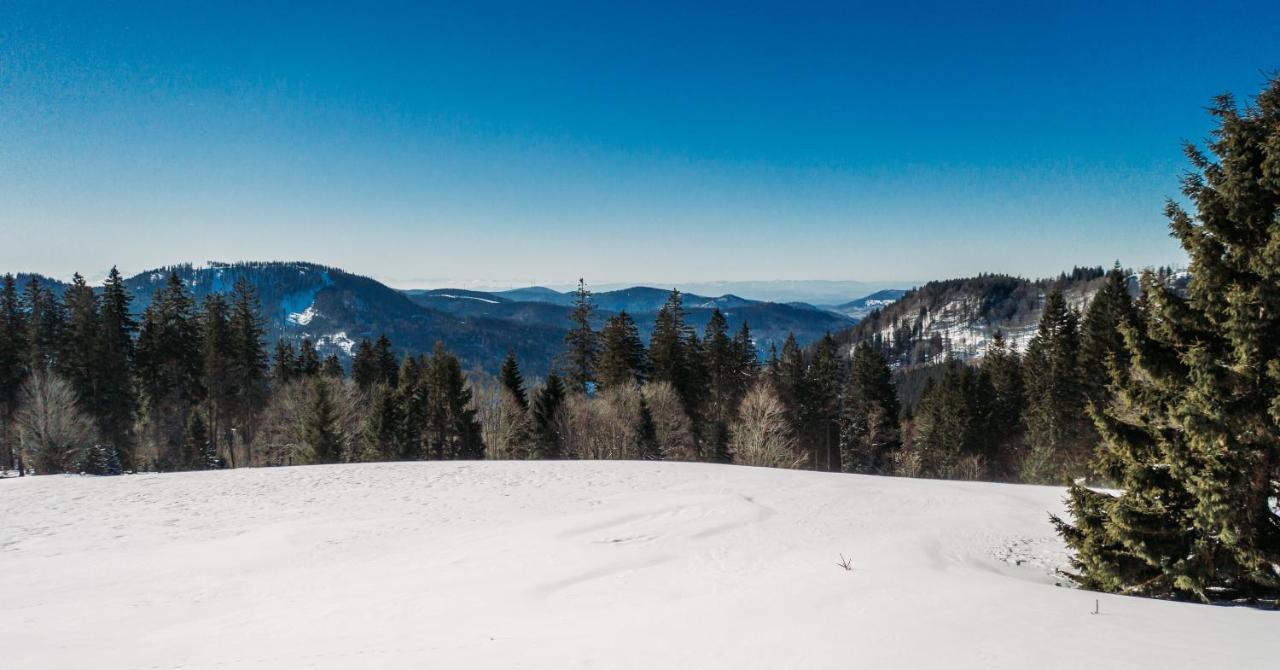 Berggasthof Zur Todtnauer Huette Feldberg  Buitenkant foto